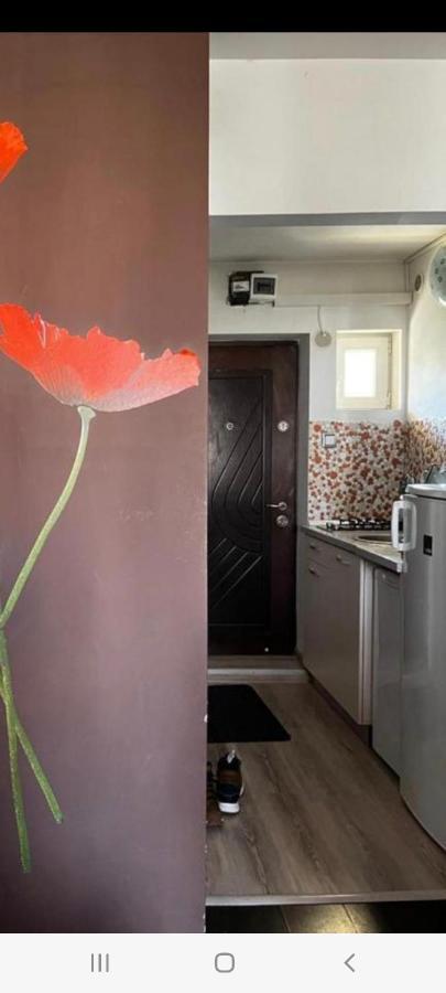 Zenapartment Braşov Eksteriør billede