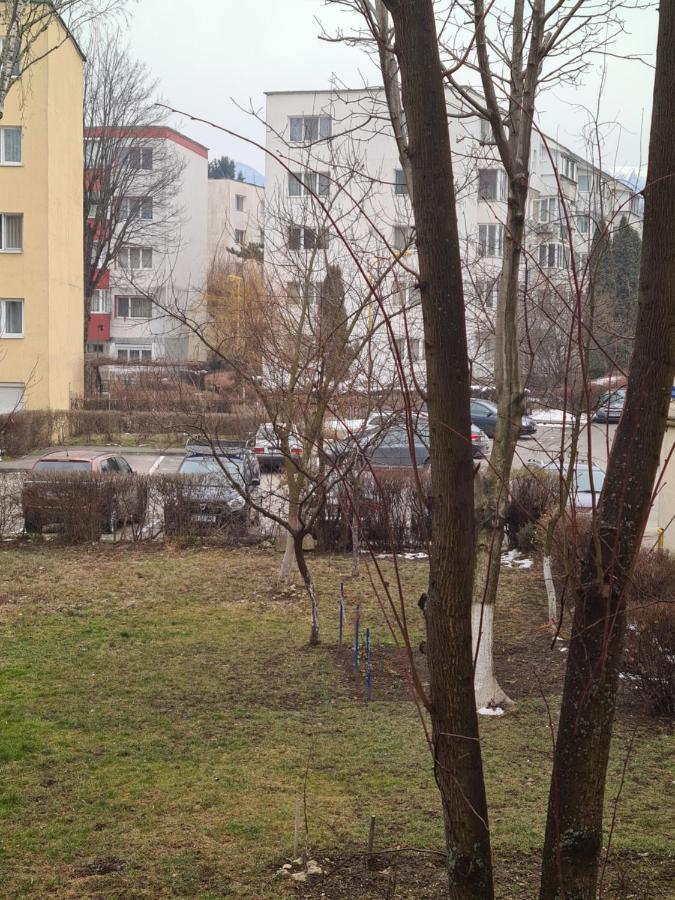 Zenapartment Braşov Eksteriør billede